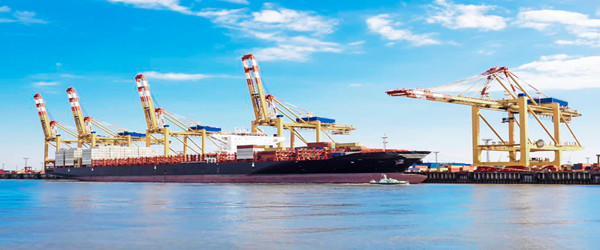 瑞典水產(chǎn)品進口報關(guān)