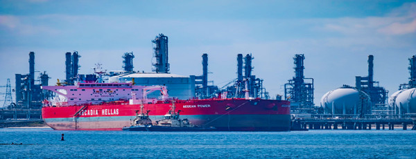 蘇里南海鮮進口報關(guān)