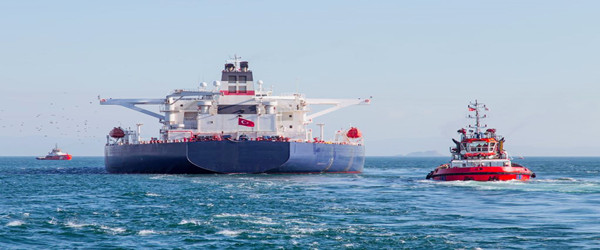 西紅柿進(jìn)口報關(guān)