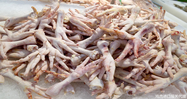 進口報關(guān)代理