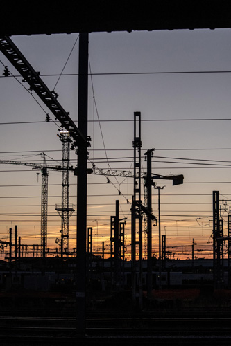 寧波荔枝干進(jìn)口報(bào)關(guān)公司