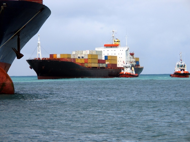 寧波進(jìn)口海參報關(guān)