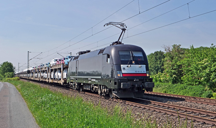 一般進出口貨物貿易比例