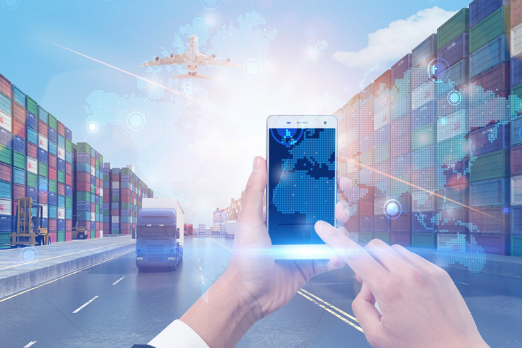 寧波香蕉進口報關