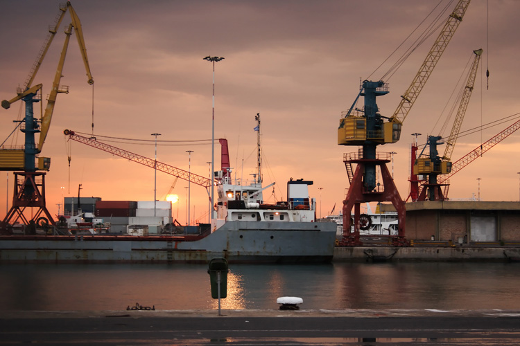 寧波進口海鮮報關 寧波進口海鮮報關
