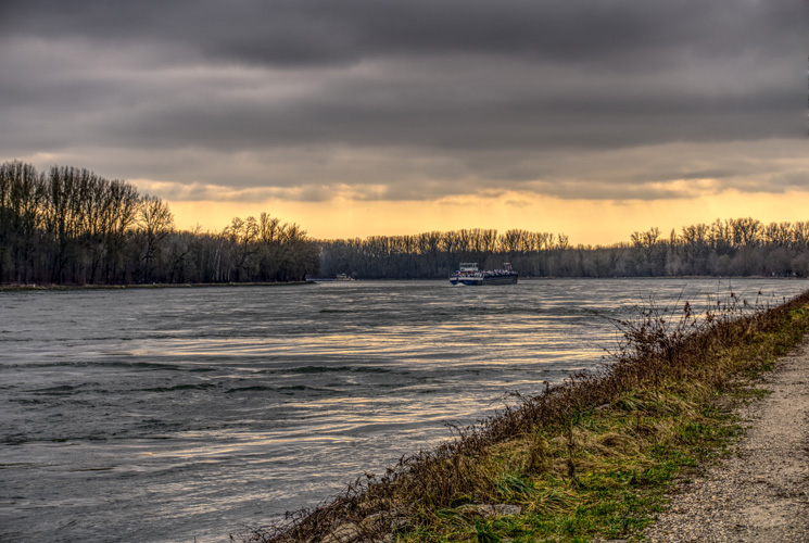 中國(guó)新能源汽車出口現(xiàn)狀