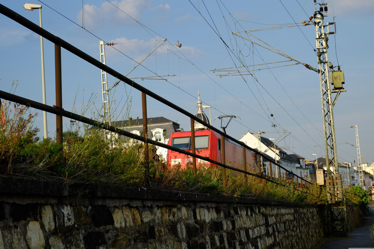 進(jìn)出口免費(fèi)是一般貿(mào)易嗎 進(jìn)出口免費(fèi)是一般貿(mào)易嗎