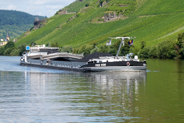 一般貿(mào)易進出口備案