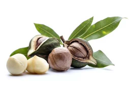 夏威夷果進口報關(guān)