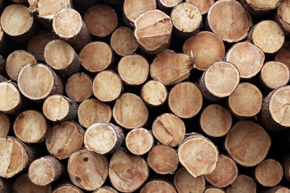 進(jìn)口木材報(bào)關(guān)