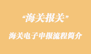 海關(guān)電子申報流程簡介