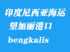 印度尼西亞海運(yùn)港口：望加麗（bengkalis）港口